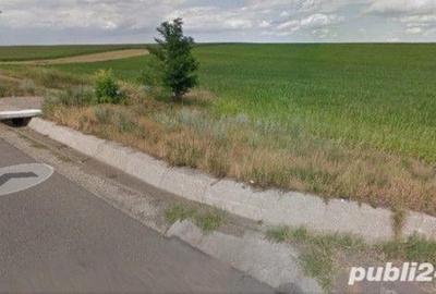 Teren de 33700 mp, în Dumbrava (Berești-Bistrița) - 3