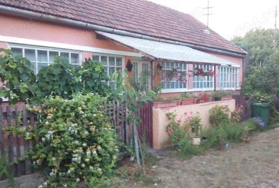 Casă cu 3 camere în Chegea - 6