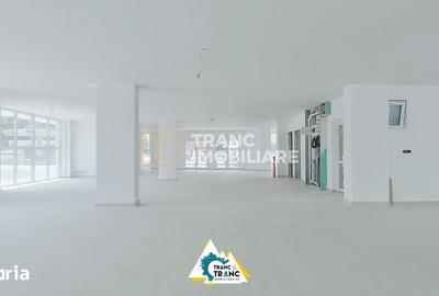 Spațiu comercial, de 200 mp, în Micălaca - 4
