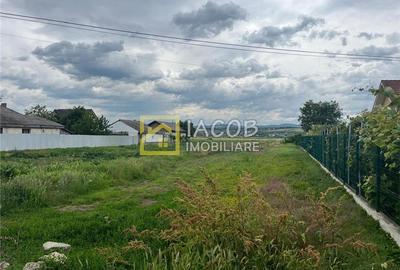 Teren Construcții intravilan de 3000 mp, în Lilieci - 6