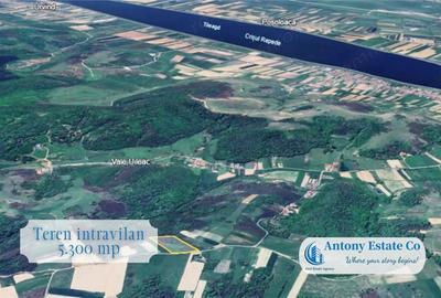 Teren de 5300 mp, în Uileacu de Criș