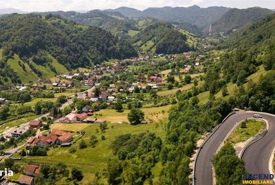 Teren de 4409 mp, în Moieciu - 17