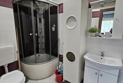 Apartament cu 2 camere semidecomandat, mobilat în Mihai Bravu - 10