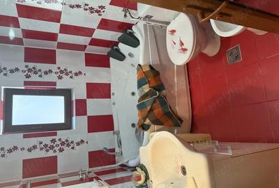 Vand casa batraneasca renovata - 6