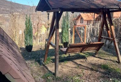 Teren Construcții intravilan de 1050 mp, în Pietrari (Păușești-Măglași) - 12