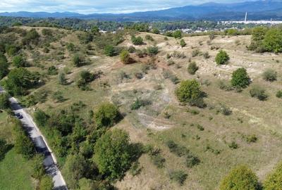 Teren de vânzare in Campulung-Muscel -  33598 mp - 3