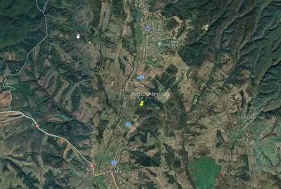 Teren de 127500 mp, în Forotic - 1