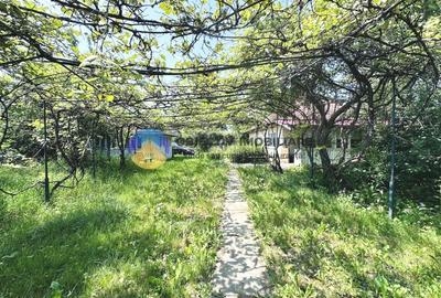 Casa traditionala Bodesti - 12