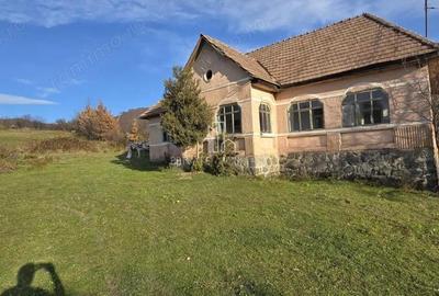 Teren Intravilan 1,2 Hectare cu Cert Urbanism,Sat Tisieu,Com. Ibanesti - 4