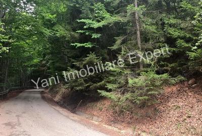 Teren de vanzare in apropiere de Transfagara?an ?i Valea Valsanului. - 16