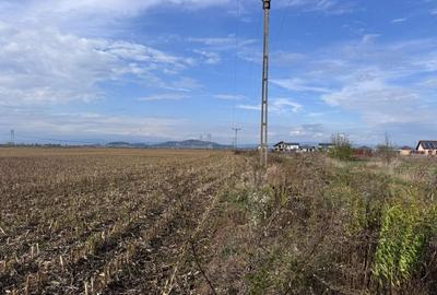 Teren dezvoltare rezidentiala Tarlungeni - zona Izvor - 6