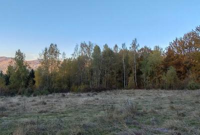 Casă în Blăjeni - 5