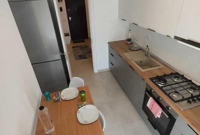 De inchiriat Apartament nou 2 camere decomandat, Park Residence, Politehnica - 3