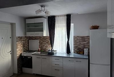 Casă cu Teren 2300 Mp în Fârtățești - 9