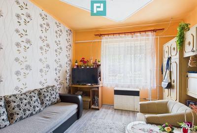 Casa cu 3 camere ?i teren generos langa frontiera - 4