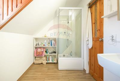 Casa falnica, curte individuala, langa Piata Unirii, in inima Scheilor - 23