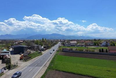 Teren Construcții intravilan de 4450 mp, în Griviței - 7