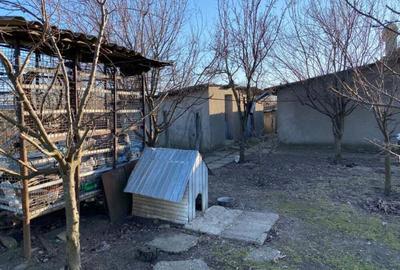 Casă cu 3 camere cu Teren 2040 Mp în Dragoș Vodă - 1