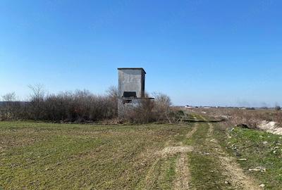 Teren de 5800 mp, în Corbii Mari