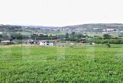 Teren intravilan ,4039 mp,in cartierul Borhanci - 2