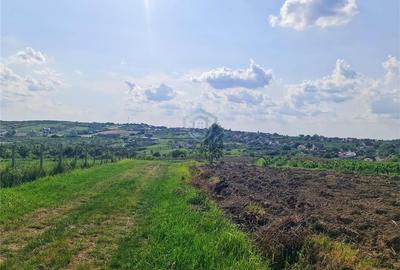 Teren intravilan Saldabagiu de Munte 1100m - 5