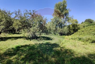 Teren intravilan in Remetea Chioarului - 1