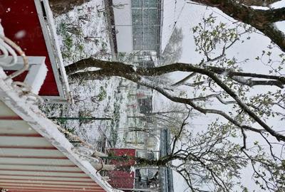 Casă cu 5 camere cu Teren 3400 Mp în Central - 7