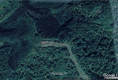 Teren de 45809 mp, în Mădrigești - 19