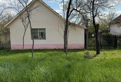 Casă cu 2 camere cu Teren 80 Mp în Chevereșu Mare