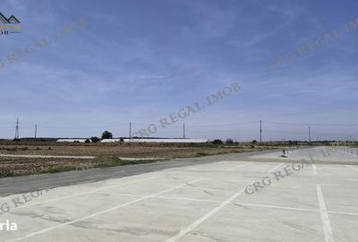 Teren de 350 mp, în Vărăști - 1