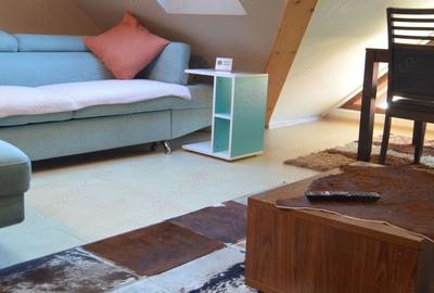 Apartament cu 2 camere decomandat în Valea Alba - 10