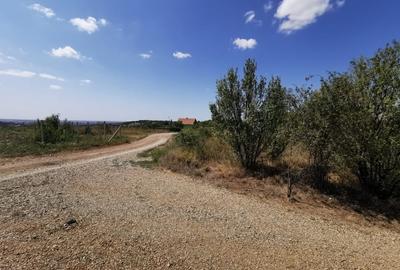 Teren intravilan de vanzare, 3.500 mp, cu front stradal de 21,5 ml - 1