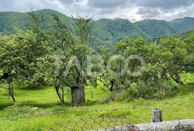 Teren intravilan de vanzare in Martinia de sus - 2