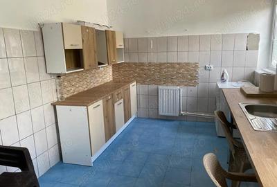 Casă cu 6 camere în Buziașului - 13