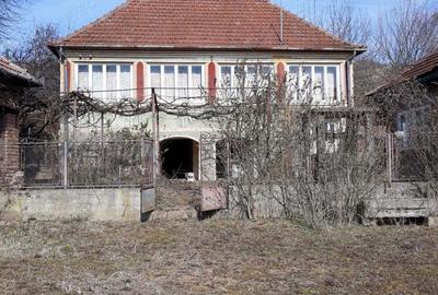 Casa + anexe + teren 4.4hectare (arabil, fine?e si padure) in Valioara - 3