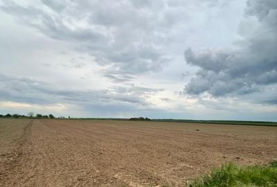 Teren Trestieni | Parcela