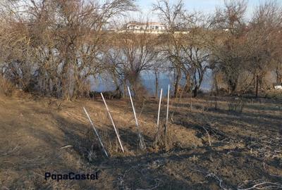 Teren Construcții intravilan de 1333 mp, în Moara Vlăsiei - 4