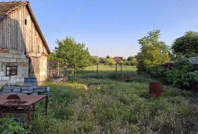 Casă cu 3 camere cu Teren 1820 Mp în Sânandrei - 2
