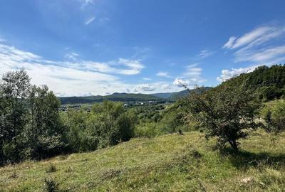 Teren de 3552 mp, în Marginea - 5