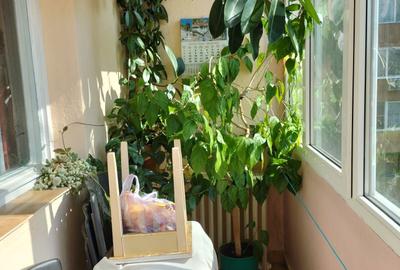 Apartament cu 2 camere semidecomandat în Olimpia-Stadion