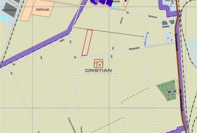 Teren de 12600 mp, în Domnești - 3