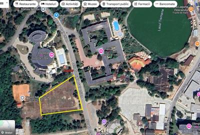 TEREN DE VANZARE LA MARE - 2