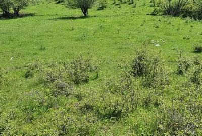 Teren de 5850 mp, în Crușovița - 1