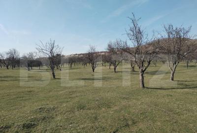 Teren intravilan cu suprafa?a de 9ha, Aninoasa - 3