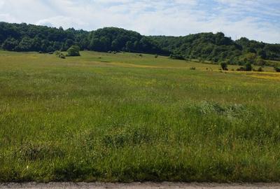 Teren de 16500 mp, în Tomești - 1