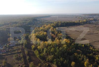 Casă cu 2 camere cu Teren 1000 Mp în Central - 2