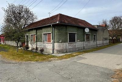 Casă cu 3 camere cu Teren 1500 Mp în Criciova - 3