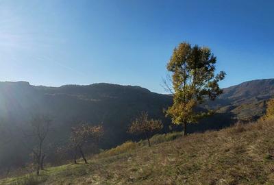 Casă cu 3 camere în Plai - 3