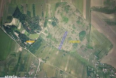 Teren de 5000 mp, în Miroslava