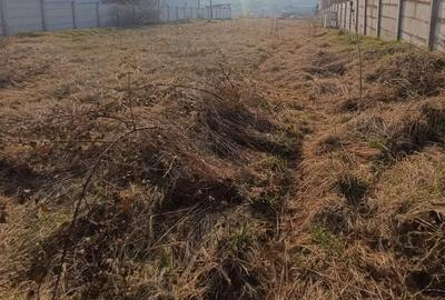 Teren Construcții intravilan de 2600 mp, în Micești - 1